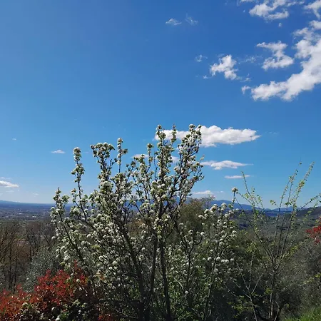 Il Cedro Pensión Massa e Cozzile