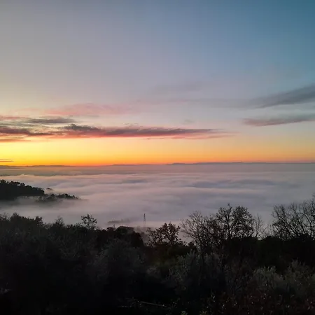 Pensión Il Cedro Massa e Cozzile