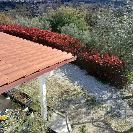 Gasthuis Il Cedro Massa e Cozzile