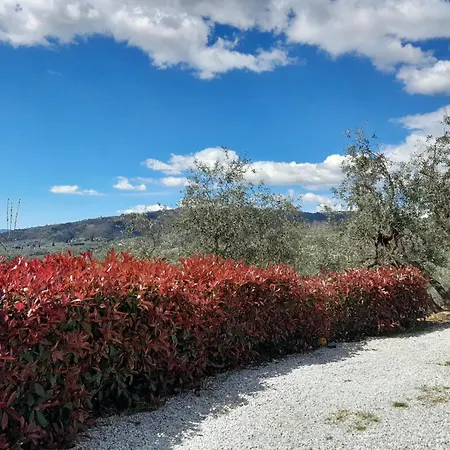 Il Cedro Gasthuis 3*