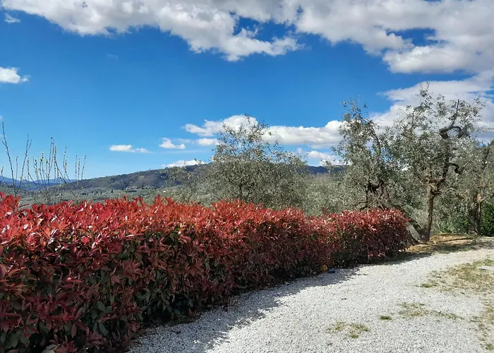 Il Cedro Casa de hóspedes 3*