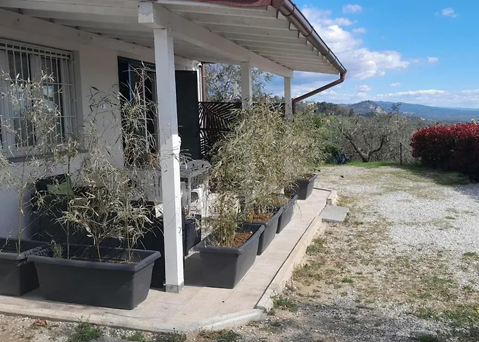 Il Cedro