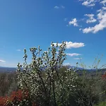 Il Cedro Gæstehus Massa e Cozzile