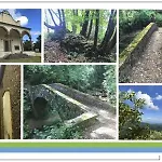 게스트하우스 Il Cedro
