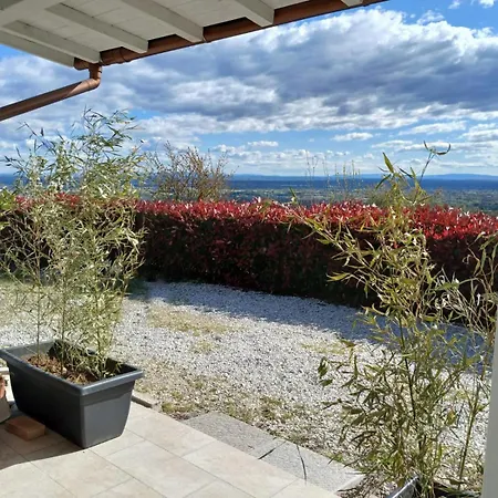 Il Cedro Massa e Cozzile