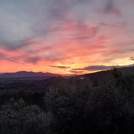 Гостевой дом Il Cedro