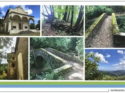 Гостевой дом Il Cedro